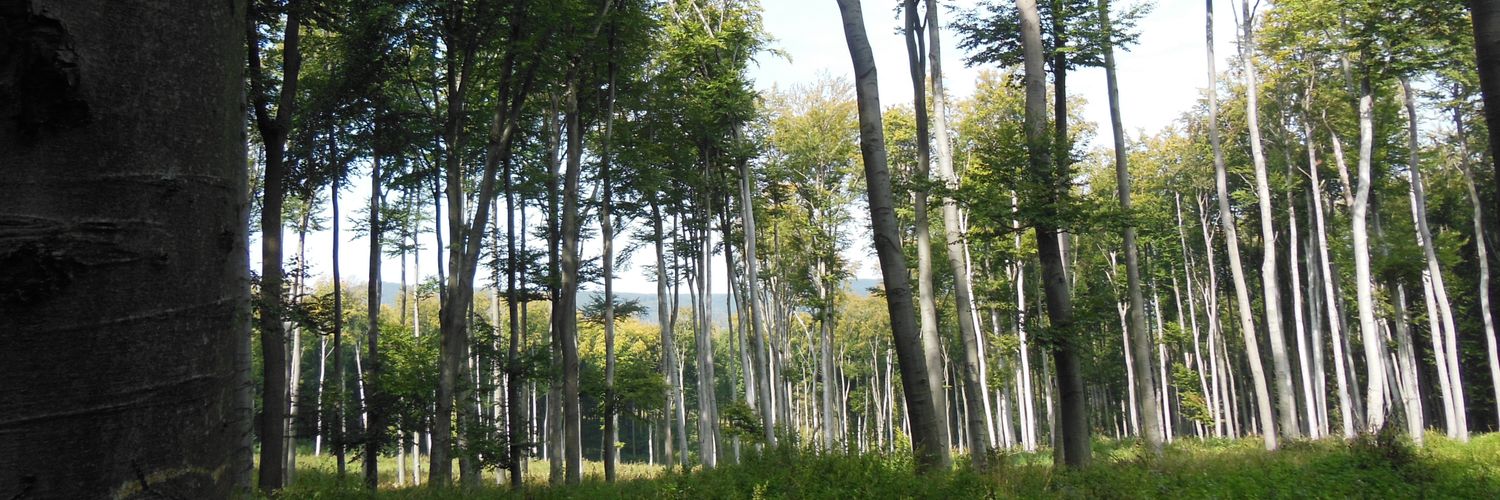 image from Osterurlaub 2025 Teil 1